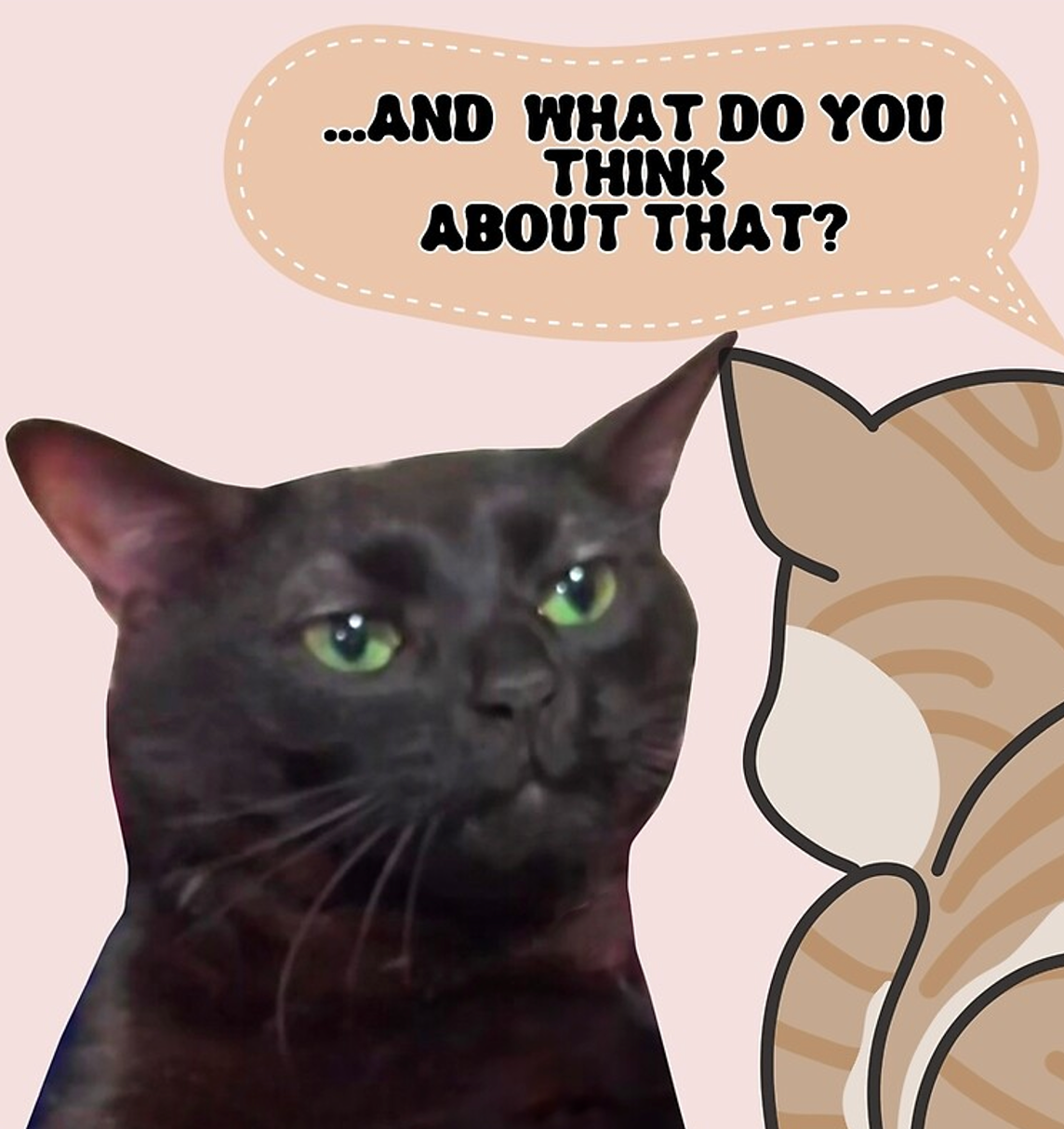 【2025年12月18日】ゼミ活動のご報告——修論チェック大会